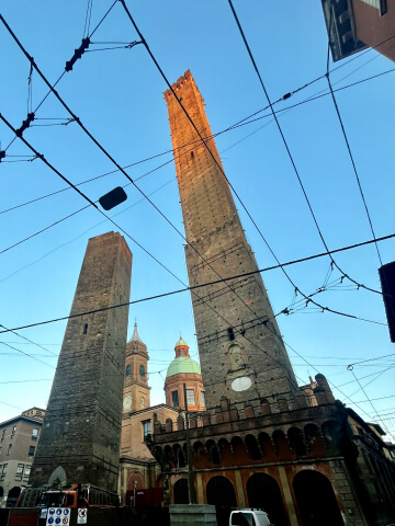 img11 (1)